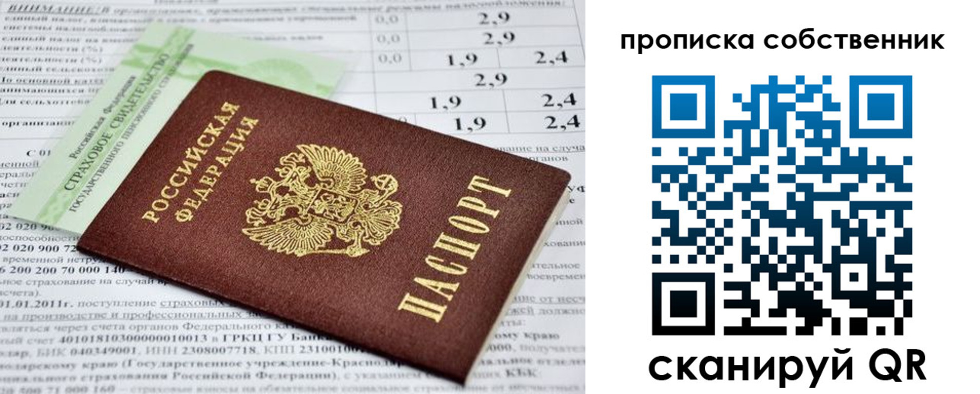 прописка 2025 в Каргополе